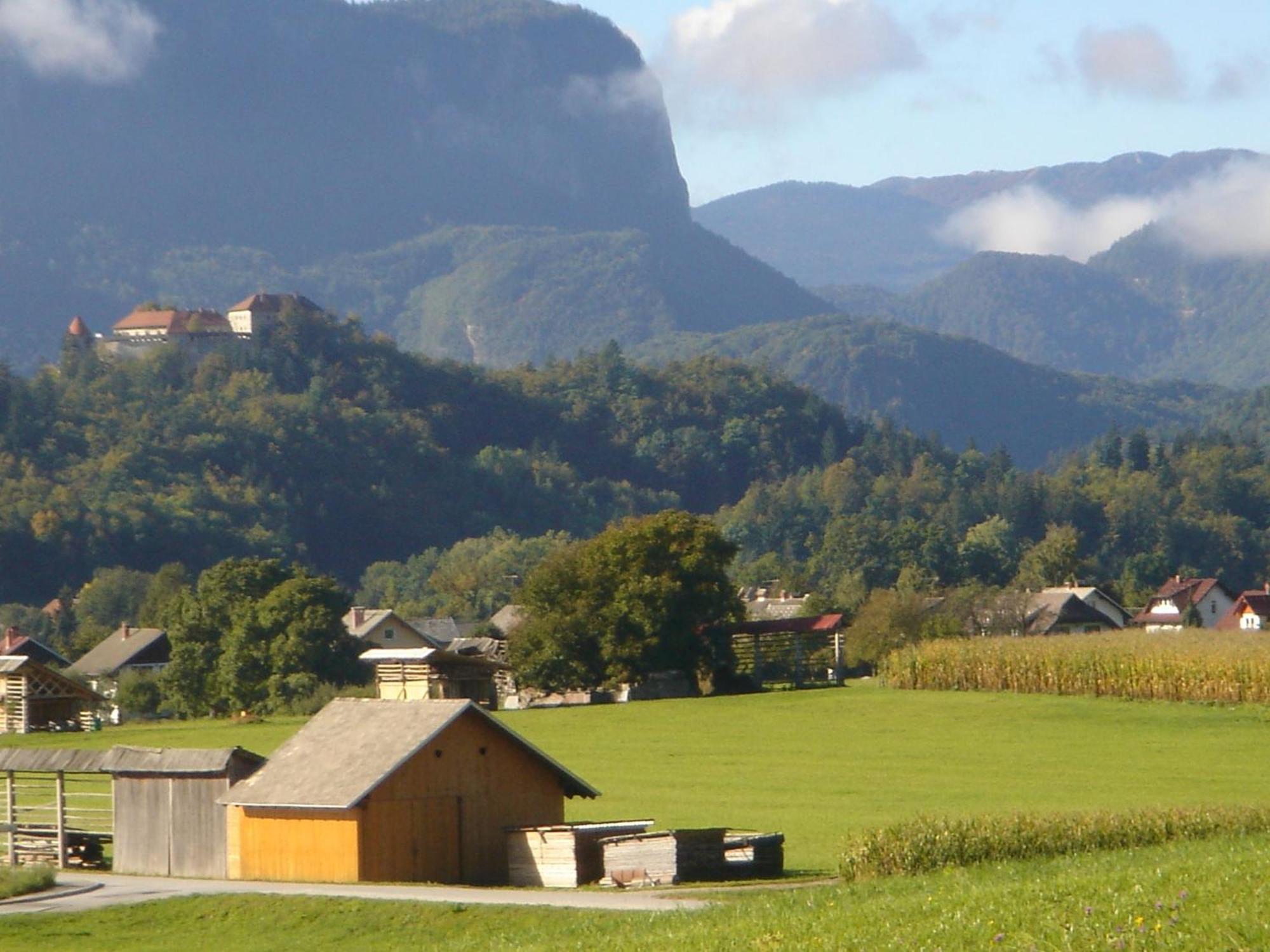 Apartman Dei Sogni